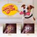 Peteast Dog Toys Durable Dog Chew Toys for Aggressive Chewers Bacon Flavored Tough Natural Rubber & Teeth Cleaning Chewing Bones for Large/Medium/Small Dogs - Buy Online on GoSupps.com