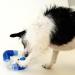Outward Hound Planet Dog Orbee-Tuff Link - Snack Ball Dog Toy for Dogs - Orange | International Shipping Available - Buy Online on GoSupps.com