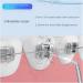 BAIR V2 Mini Dental Flusher - Portable Electric Water Floss with 4 Nozzles for Home Dental Cleaning - Buy Online on GoSupps.com