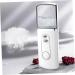 Healeved 2 Pcs Creative Nano Mist Sprayer Steamer Fashion Mist Sprayer Mini Face Spray Device - Buy Online on GoSupps.com