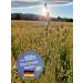 Organic Fine Ground Oat Bran Flour - High Protein & Fiber | 1600g | International Shipping - Buy Online on GoSupps.com