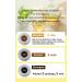 Herbal Lemon Tea for a Healthier Stomach - Boost Your Wellbeing - Buy Online on GoSupps.com
