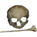 Skull Hair Pin for Woman Halloween Retro Plating Hairdressing Skull Hair Clip Gothic Halloween Hair Accessories for Party Makeup Cosplay Costume Goth Hair Clips - Buy Online on GoSupps.com