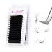 Fadlash Easy Fan Lashes D Curl 0.05 15-20mm Mixed Length Russian Lashes Natural Look Self Fanning Eye Lashes Automatic Blooming Russian Eyelashes Extensions(0.05-D-1520) 15-20 mm 0.05-D