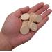 1 Inch Natural Wood Slices - 60 Pack for DIY Arts & Crafts Projects | Unfinished Round Wood Coins - Buy Online on GoSupps.com