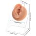 OLYCRAFT Right Ear Silicone Model for Jewelry Display and Piercing Practice - Buy Online on GoSupps.com