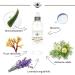 BEES of BRITAIN - 99% Natural Hydrating Floral Mist - Aloe Vera Lavender Chamomile. Hydrating Aromatic Cleanser Toner Primer. We Donate 5% of our Profit to Save Bees + Pollinators. 250ml - Buy Online on GoSupps.com