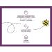 Zarbeeâ€™s Naturals Kids Elderberry Gummies - Immune Support, Natural Berry Flavor, 42 Count - Buy Online on GoSupps.com