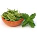 Herbal Magic's Pure & Natural Liquid Stevia Drops Sweetener - Free from PRESERVATIVES/ADDITIVES - 20ml - Buy Online on GoSupps.com