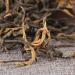 Sac cadeau en vrac Fengqing Ancient Tree Kung Fu Dianhong Maofeng Soins de sant 100g - Buy Online on GoSupps.com