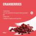 Dried and Sweetened Cranberries by Amazon - 200g | Premium Snack | International Shipping Available - Buy Online on GoSupps.com