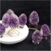 Amethyst Large Amethyst Cluster Geode Crystal Quartz Cut Base Amethyst Specimen JIZTGEDM - Buy Online on GoSupps.com