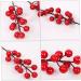 ABOOFAN 30 Pcs Christmas Red Fruit Decoration Artificial Berry Branches Berry Fruit Picks Artificial Berries Branches Christmas Berry Decorations Wedding Foam Banquet Artificial Flower - Buy Online on GoSupps.com