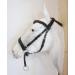 PS Horse Articles Soft Bitless Bridle - Anatomical Tilia Pony Bridle in Black | Shop Internationally! - Buy Online on GoSupps.com