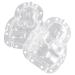 FUNOMOCYA 2pcs Vegetable Shaping Mold Clear Fruit Fruits Growth Garden Adorable Fruit Mold Cucumber Apple Pear