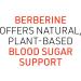 Natural Factors WellBetX Berberine 500 mg - 120 Vegan Capsules for Blood Sugar Support - Buy Online on GoSupps.com