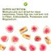 Organic Dried Smyrna Figs - Non-GMO No Added Sugar 45g - Premium Dried Fruits Gift - Buy Online on GoSupps.com