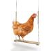 Adjustable Chicken Swing Toy for Coop with Roost - Large Ladder Bar Accessories | Includes Ropes & Metal Hook | 15.5in x 2.75in - Buy Online on GoSupps.com