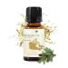 Balsam Fir Essential Oil (15ml) - Direct from Our Farm Partner in Canada - Essential Oils for Home, Humidifier, or Aromatherapy | Pure Therapeutic Grade Balsam Fir 0.5 Fl Oz (Pack of 1)