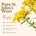 Pure St. John's Wort Mazerate Oil | 100% Natural Hyperical Oil for Body Face & Hair Care | 50ml - Ideal for Massages - Buy Online on GoSupps.com