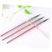 Ipetboom Poly Nail Art Liner Drawing Brushes Colored Drawing Tool for Manicure Star Room Decor Manicure Nail Art Brush Practical Nail Art Liner Brush Pink Painted Pen - Buy Online on GoSupps.com