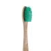 Buy GEORGANICS Natural Beech Bristles Toothbrush - Medium Green | Eco-Friendly Sustainable Oral Care | International Shipping Available - Buy Online on GoSupps.com