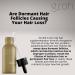 Groh Stimulating Scalp Serum - Organic Hair Growth Treatment with ErgoD2 for Stronger, Healthier Hair - Supports Hair Follicle Health - Antioxidant & Bio Nutrient-Rich Formula - Buy Online on GoSupps.com