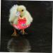 VANZACK 1pc Diaper Hen Halloween Costumes Clothing Girl Dogs Underwear Duck Flight Suit Girl Puppy Clothes Chicken Flight Suit Mamal Chicken Costumes Red Physiological Pants Polyester Pet 22X11X1cm Red - Buy Online on GoSupps.com