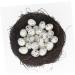 Buy Wofashpuret Artificial Spring Branches & Bird Nest Decor - 20cm Floral Moss Decoration for Home & Garden - Buy Online on GoSupps.com