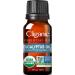 Cliganic 100% Pure Essential Oil Eucalyptus 2/6 fl oz (10 ml)