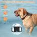 Buy Ainiv Waterproof Silicone Case for Apple AirTag - Durable Pet Tracker Cover for Dogs & Cats - Black Water-Tight Protection - Buy Online on GoSupps.com