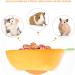ULTECHNOVO Ceramic Carrot Food Bowl for Small Animals - Hamster Feeding Bowl - Buy Online on GoSupps.com