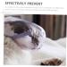 BESPORTBLE 3pcs Cat Muzzle Basket Muzzle for Dogs Kitten Mask Transparent Muzzle Hood Bubble Muzzle Pp - Buy Online on GoSupps.com