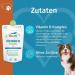 Dog Fit by Prethis - Vegan Vitamin B Complex for Small Dogs (Up to 10kg) | Nerve Incontinence Spondylose & Tremors Support - Buy Online on GoSupps.com
