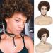 WIGER Afro Kinky Curly Wig Human Hair for Black Women Short Medium Brown Afro Wigs Curly Human Hair Wig for African American 6.5 Inch 30#