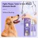 Best Pet Dental Care Toothpaste Professional Pet Toothpaste Cat & Dog Dental Care Controls Plaque Tartar & Bad Breath - Buy Online on GoSupps.com