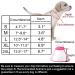 Adjustable Recovery Cat Cone Dog Collar | Clear Padded E-Collar for Cats and Puppies - Pink - M Size - Buy Online on GoSupps.com