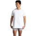 Fruit of the Loom Men's Eversoft Cotton Stay Tucked Crew T-Shirt - 6 Pack White (S-3XL) - Coolzone Underarm - Buy Online on GoSupps.com