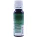 PME 100% Natural Food Colouring - Moss Green 25g | Eco-Friendly Dye for Baking - Buy Online on GoSupps.com