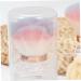 VINTORKY foundation makeup blusher makeup supplies powder dense foundation brush powder foundation brush manicure blush brush abs travel nail gradient powder - Buy Online on GoSupps.com