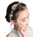 IYOU Flower Leaf Headpiece Gold Pearl First Communion Headband Crystal Floral Wedding Hair Accessories for Flower Girls and Bridesmaid.