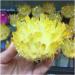 Natural Crystal Rough Very Beautiful Angel Titanium Quartz Stunning Rainbow Minerals - Buy Online on GoSupps.com