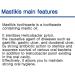 Mastikis Toothpaste 120g - Mastic Oil & Xylitol for Healthy Teeth | 3-Pack - International Shipping Available - Buy Online on GoSupps.com