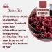 Hibiscus + Amla Powders Combo 100% Natural for Hair & Growth (2 Pouches 175gm each) - Buy Online on GoSupps.com