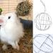 2 Pieces Rabbit Hay Feeder Rabbit Hay Ball Stainless Rabbit Grass Ball Pet Hay Rack Bowl Accessories for Guinea Pig Small Animal Pet - Buy Online on GoSupps.com