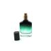 Z nitude Glassworks 30ml Empty Glass Perfume Spray Bottle - Black Gradient to Green Transparent Base