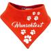 Multicolor Reversible Dog Towel - Red-Orange - Size 4 (Neck 45-52 cm) - Customizable Text | International Shipping Available - Buy Online on GoSupps.com