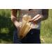 If You Care Natural Sandwich Bags - 48 Count | Eco-Friendly Snack Storage - Buy Online on GoSupps.com