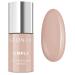 N ONAIL Beige Xpress UV Nail Polish 3in1 - Simple One Step Color Protein Tender 7812-7 7.2ml | International Shipping - Buy Online on GoSupps.com