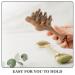Beavorty Wooden Head Skin Massage Comb - Sandalwood Hair Growth & Pet Massage Stimulator for Women - Buy Online on GoSupps.com